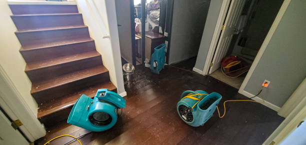 Best Emergency water extraction  in Bridgewater, VA