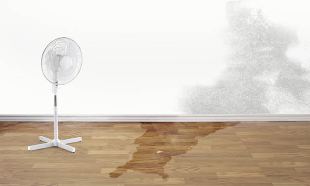 Best Commercial water damage restoration  in Bridgewater, VA
